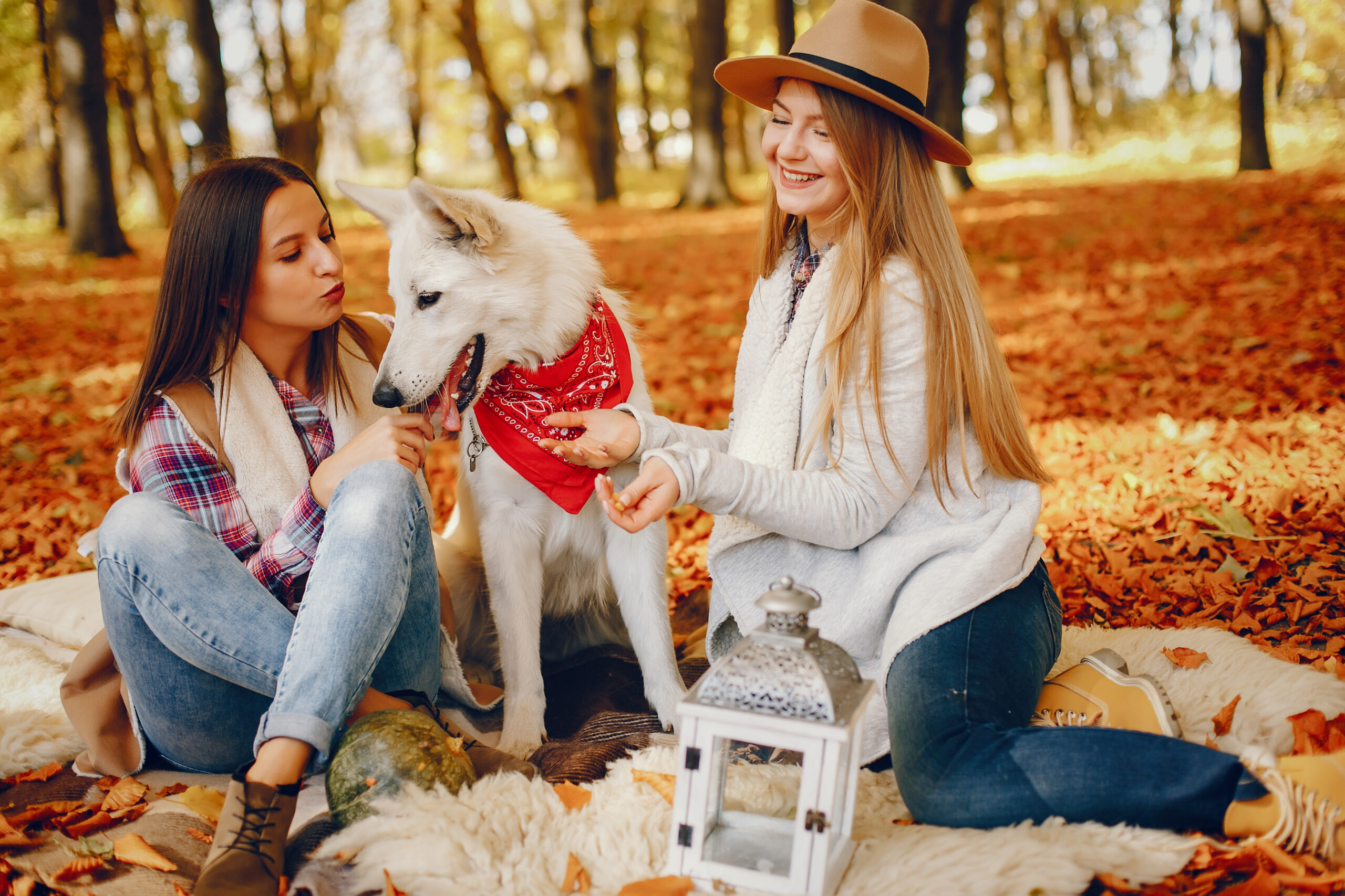 Beautiful girls in a park. Cute ladies in a stylish clothes. Friends with cute dog